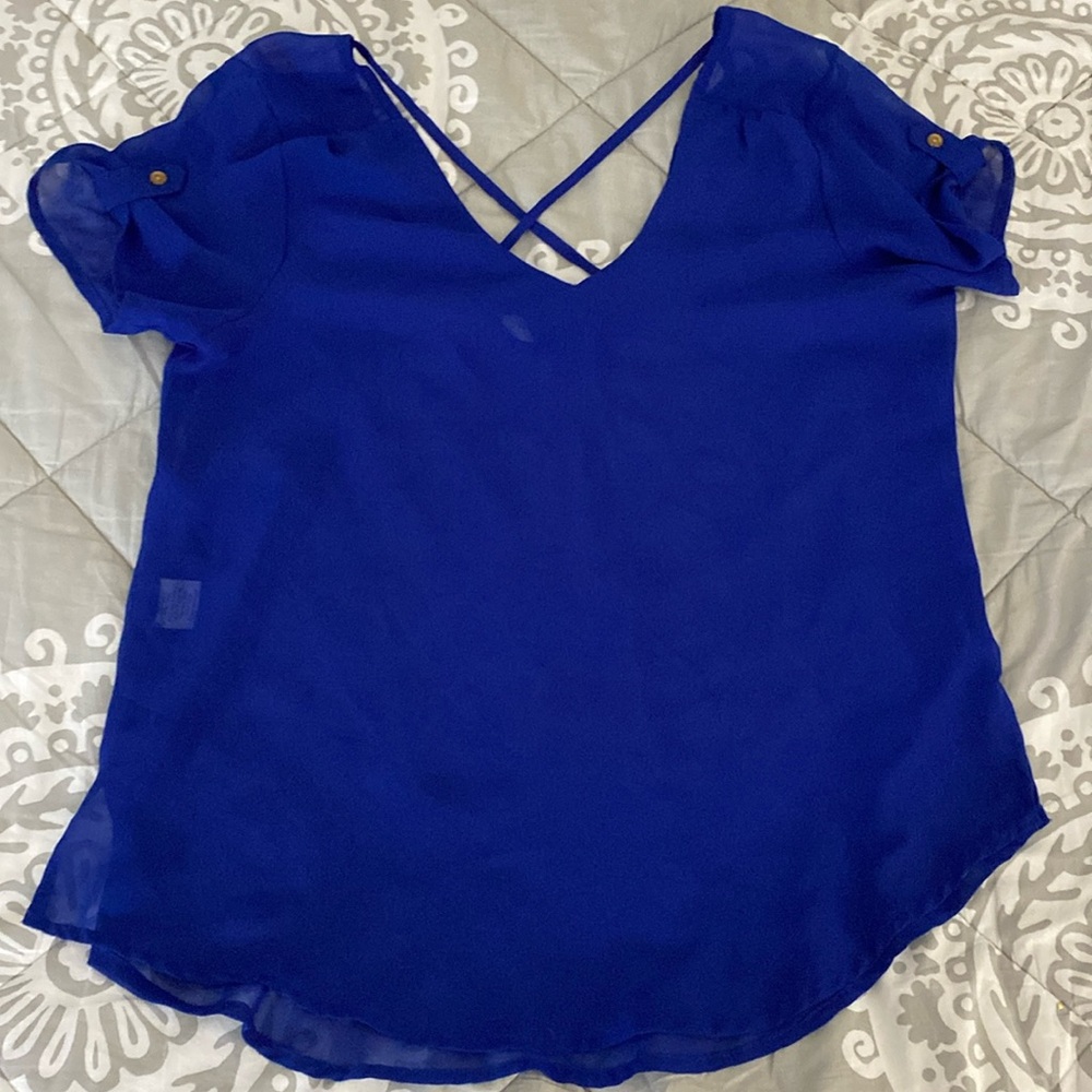 Pretty Blue Sheer Blouse Size L